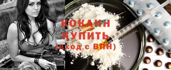 прущий лед Ельня