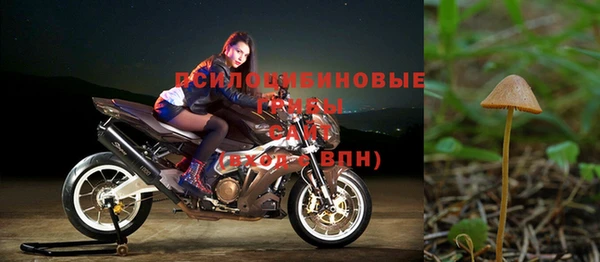 меф Елизово