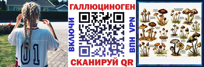 Псилоцибиновые грибы Psilocybe  Купить где  Поронайск 